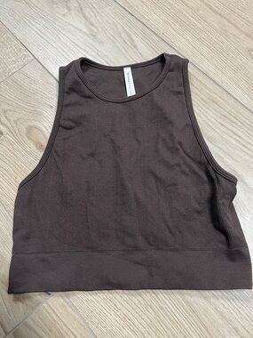 Aritzia Dark Brown Ribbed Crop Tank